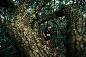 BIB: 
                            <button type="button" onclick="openModal(25394234)" class="btn btn-primary btn-sm float-right btn-popup" data-toggle="modal" data-target=".modal-high-quality">
                        <i class="fas fa-shopping-cart"></i> Add to Cart
                    </button>
                                            <button type="button" onclick="isThisMe(25394234, true)" class="btn btn-success btn-sm float-right btn-popup btn-isme hidden" data-toggle="tooltip" data-placement="bottom" title="นี่คือรูปของคุณใช่ไหม คลิกที่นี่เพื่อเอาเข้าอัลบั้ม">
                        <i class="fas fa-plus"></i> Add to album
                    </button>
                    <button type="button" onclick="isThisMe(25394234, false)" class="btn btn-warning btn-sm float-right btn-popup btn-isnotme hidden">
                        <i class="fas fa-ban"></i> Remove from album
                    </button>